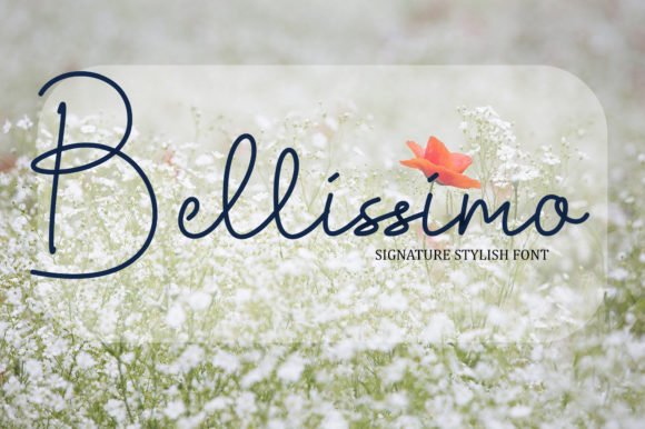 Bellissimo Font: Elegant Script for Web Design
