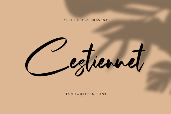 The Cestiennet: A Script for Real Projects